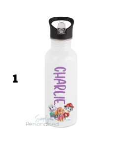 Stainless Steel Drink Bottle